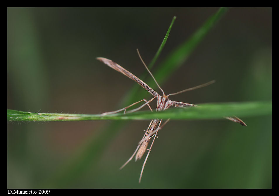 Atterraggio...difficoltoso!